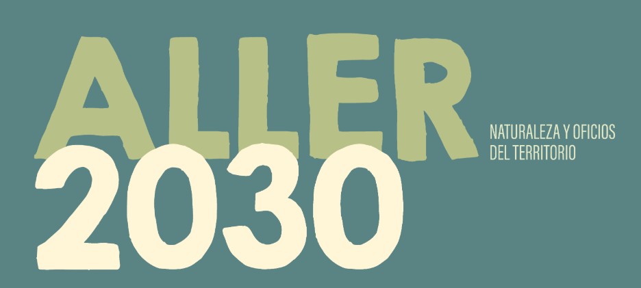 En este momento estás viendo 🏆 Ganadores de los concursos “Aller 2030” de fotografía y dibujo